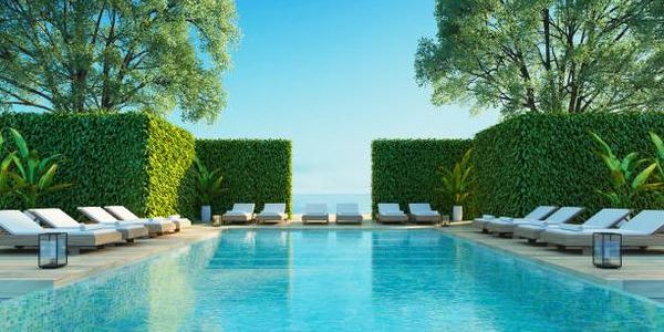 Exploring the Family-Friendly Features of Westgate Resorts